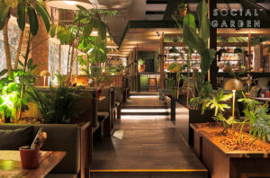 Social Garden Senayan Jakarta