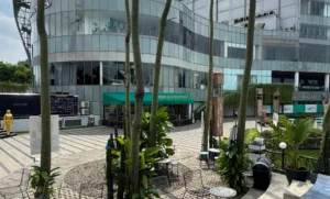 kopi kina senayan