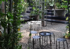 tanatap coffe meruya